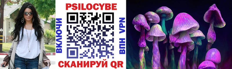 Галлюциногенные грибы Cubensis купить наркотик Волгоград